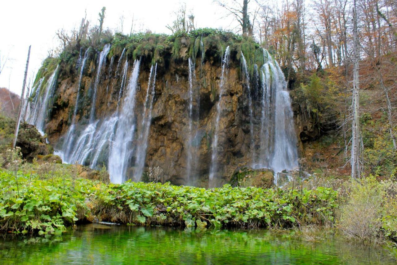 D.I.M. Holiday House Selište Drežničko Eksteriør bilde