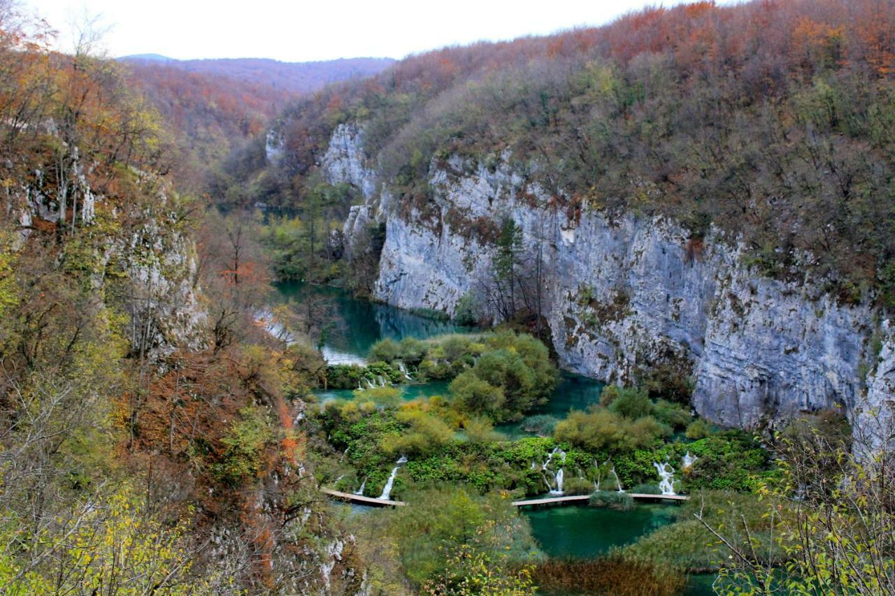 D.I.M. Holiday House Selište Drežničko Eksteriør bilde